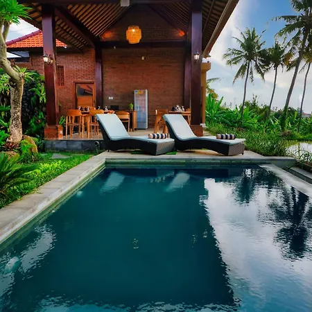 Dapha Eco Lodge Lovina Sukasada Exterior photo