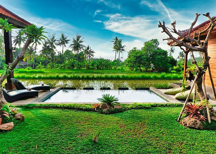 Dapha Eco Lodge Lovina