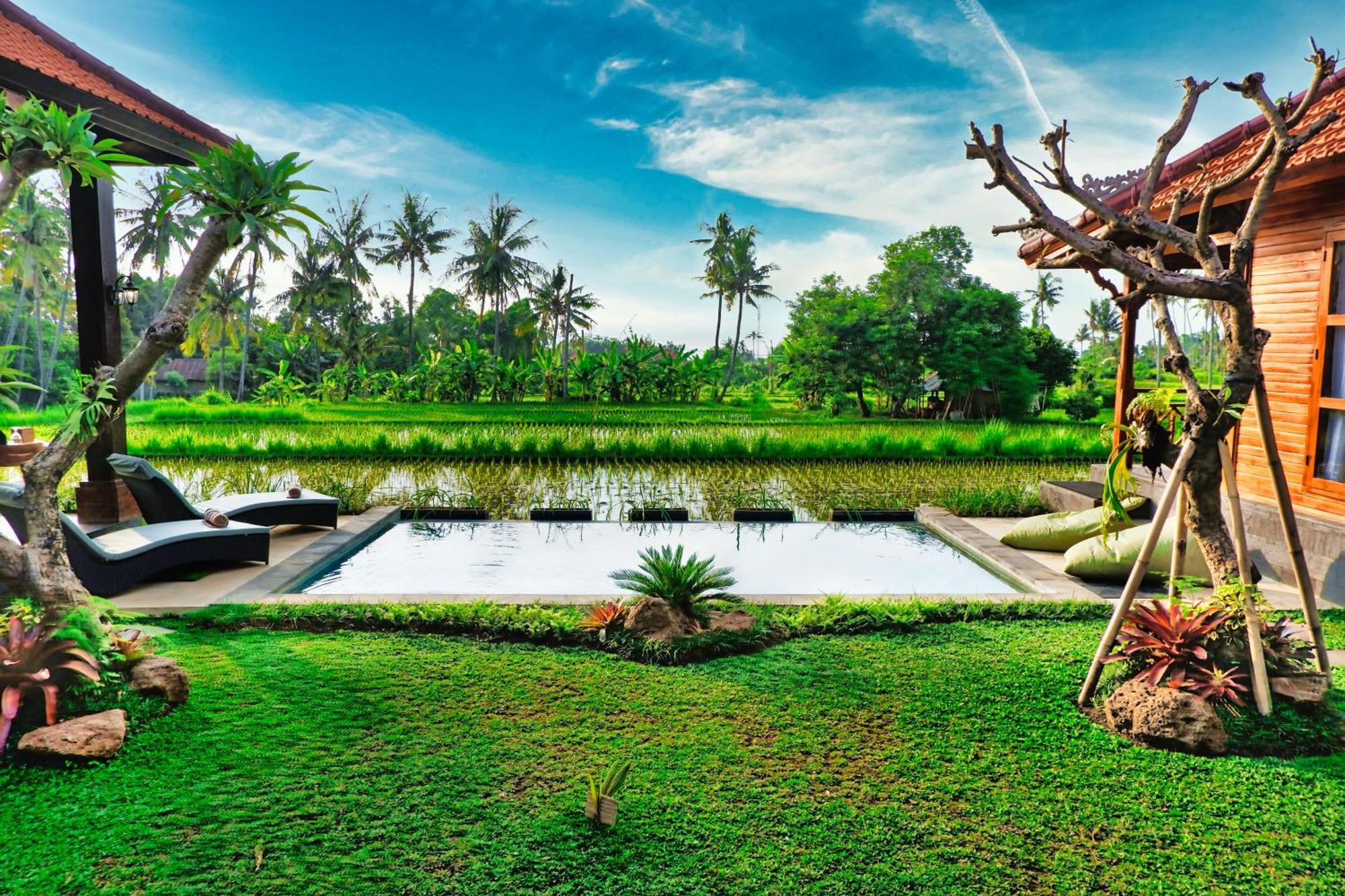 Dapha Eco Lovina * Sukasada