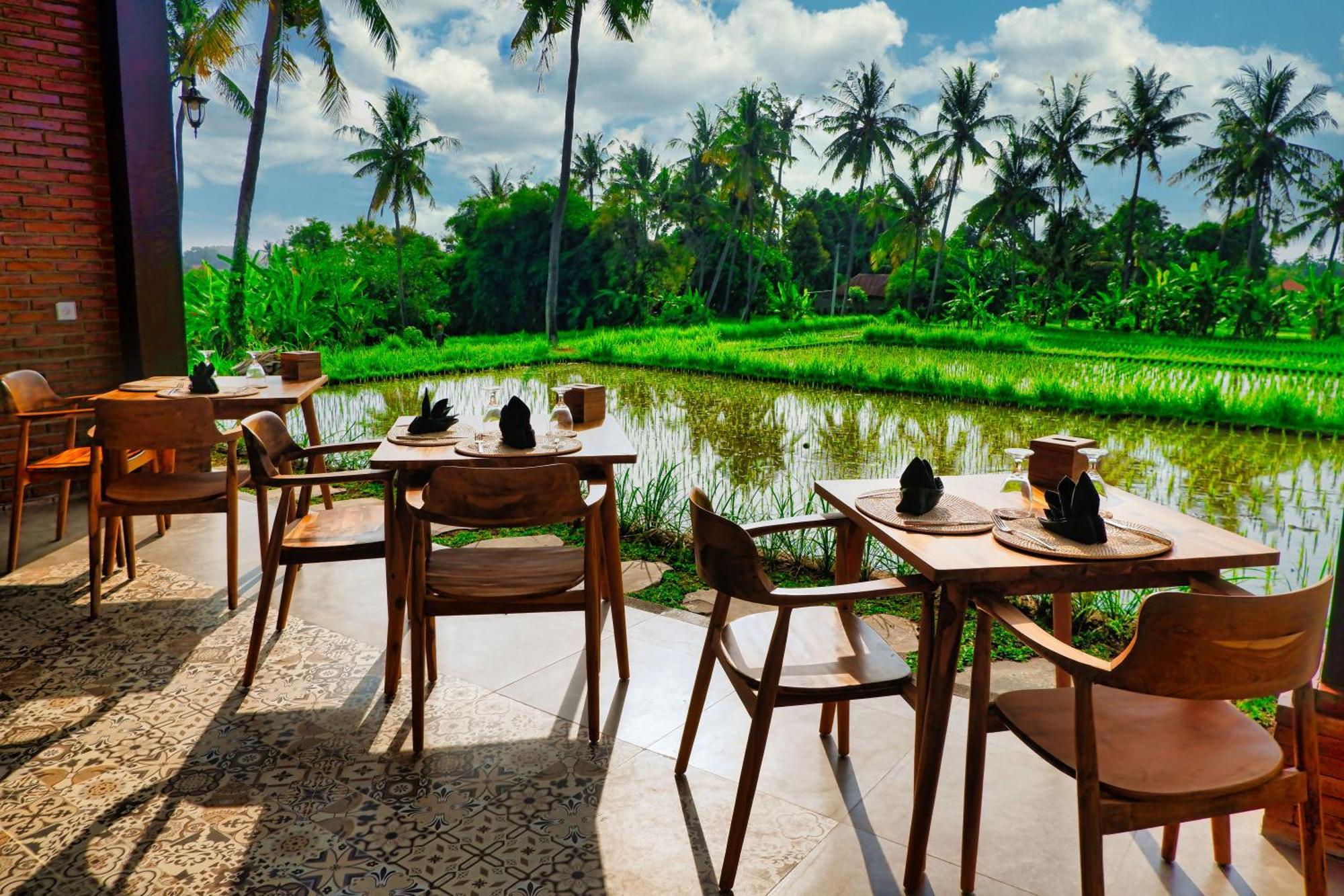 Lodge Dapha Eco Lovina